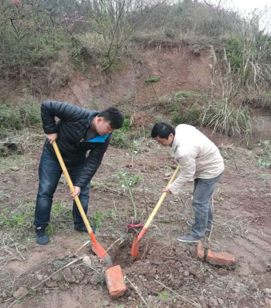 微信图片_201903261335066