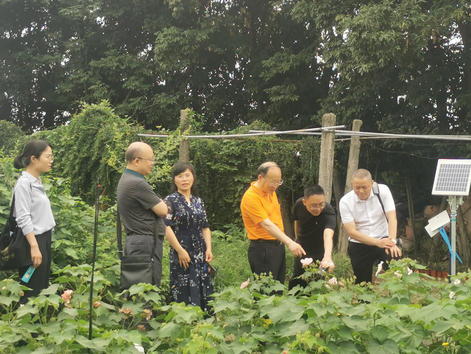 微信图片_20210628162924.png