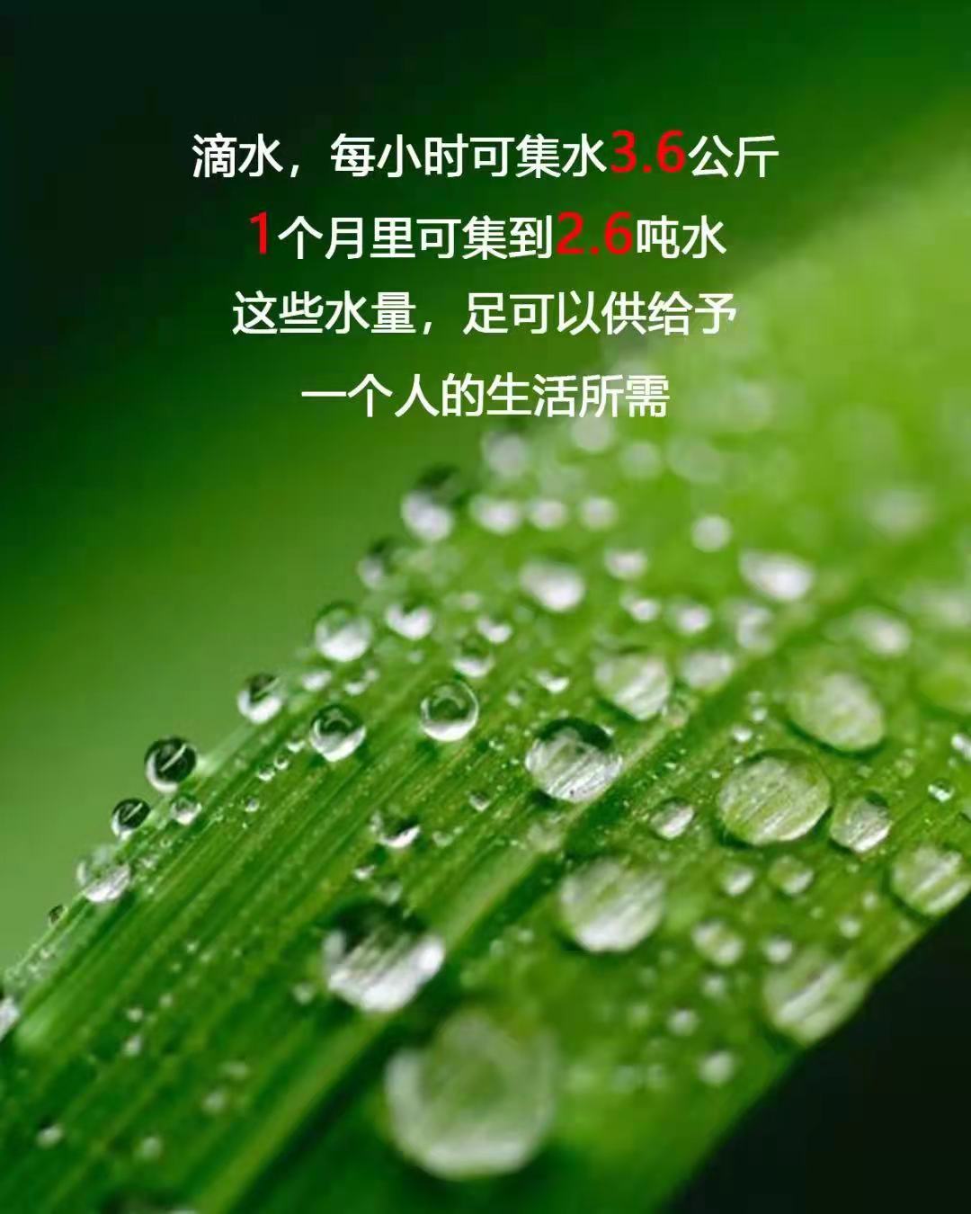 微信图片_20220322145340.jpg