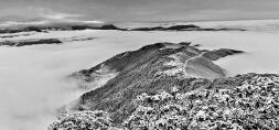 IMG_256