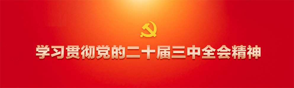 学习贯彻党的二十届三中全会精神