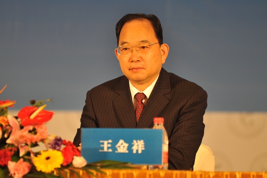 全国政协常委,国家发改委副主任王金祥 人民网记者 翁奇羽 摄